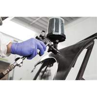 Performance Fine Finish Spray Gun System with PPS Cups, 13 CFM, 29 PSI FMT Sales Ltd