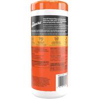 Original Protectant Wipes FMT Sales Ltd
