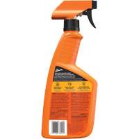 Original Protectant, 32 oz./946 ml, Trigger Bottle FMT Sales Ltd
