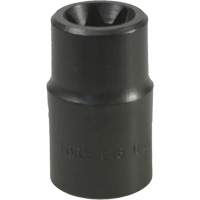 Douille Torx&reg; E-18 FMT Sales Ltd