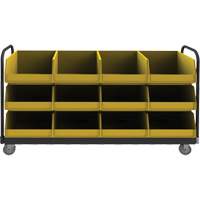 Mobile Tub Rack, Double-sided, 12 bins, 78" W x 18" D x 47" H FMT Sales Ltd