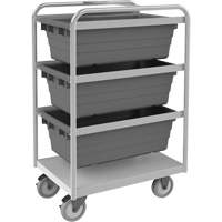 Mobile Tub Rack, Double-sided, 3 bins, 26" W x 18" D x 42" H FMT Sales Ltd
