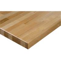 Hardwood Workbench Top, 48" W x 24" D, Square Edge, 1-1/4" Thick FMT Sales Ltd