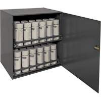 Armoire de rangement pour contenants a&eacute;rosol, Acier, 21-7/8" h x 15-15/16" la x 20-5/16" P, Gris FMT Sales Ltd