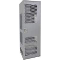 Gear Locker with Door, Steel, 24" W x 24" D x 72" H, Grey FMT Sales Ltd