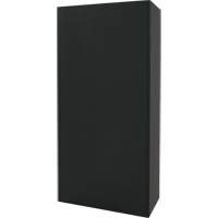 Armoire de rangement combin&eacute;e, 36" la x 18" p x 72" h, Noir FMT Sales Ltd