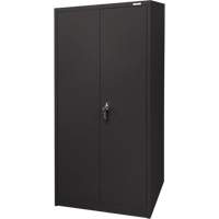 Armoire d'entreposage, Acier, 4 Tablettes, 66" h x 30" la x 15" P, Noir FMT Sales Ltd