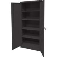 Armoire d'entreposage, Acier, 4 Tablettes, 66" h x 30" la x 15" P, Noir FMT Sales Ltd