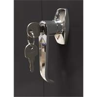 Armoire d'entreposage, Acier, 4 Tablettes, 66" h x 30" la x 15" P, Noir FMT Sales Ltd
