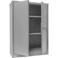 Armoire de rangement &agrave; hauteur de comptoir, Acier, 2 Tablettes, 42" h x 30" la x 15" P, Gris FMT Sales Ltd