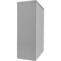 Armoire de rangement &agrave; hauteur de comptoir, Acier, 2 Tablettes, 42" h x 30" la x 15" P, Gris FMT Sales Ltd