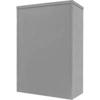 Armoire de rangement &agrave; hauteur de comptoir, Acier, 2 Tablettes, 42" h x 30" la x 15" P, Gris FMT Sales Ltd