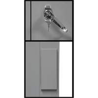 Armoire de rangement &agrave; hauteur de comptoir, Acier, 2 Tablettes, 42" h x 30" la x 15" P, Gris FMT Sales Ltd