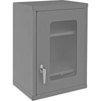 Wall-Mountable Storage Cabinet with Clearview Doors, 26-15/16" H x 18-1/8" W x 13-11/16" D, 2 Shelves, Steel, Grey FMT Sales Ltd