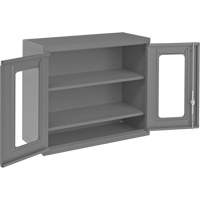 Wall-Mountable Storage Cabinet with Clearview Doors, 26-15/16" H x 29-7/8" W x 13-11/16" D, 2 Shelves, Steel, Grey FMT Sales Ltd