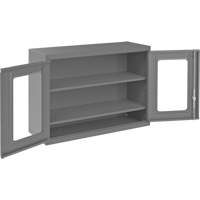 Wall-Mountable Storage Cabinet with Clearview Doors, 26-15/16" H x 35-7/8" W x 13-11/16" D, 2 Shelves, Steel, Grey FMT Sales Ltd