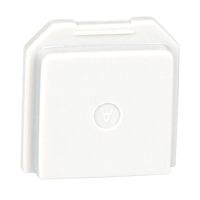 BW Gas Detector Dummy Sensor for Toxic Location FMT Sales Ltd