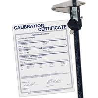Pied &agrave; coulisse num&eacute;rique avec certificat de traçabilit&eacute;, R&eacute;solution de 0,0005" (0,01 mm), 0" - 12" (0 mm - 300 mm) gamme de mesure FMT Sales Ltd