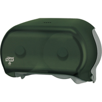 Twin Toilet Paper Dispenser, Multiple Roll Capacity FMT Sales Ltd
