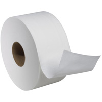Advanced Soft Mini Toilet Paper, Jumbo Roll, 2 Ply, 751' Length, White FMT Sales Ltd