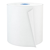 Pro Perform Roll Hand Towels, 1 Ply, Standard, 775' L FMT Sales Ltd