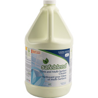 Glass & Multi-Surface Cleaner, 4 L, Jug FMT Sales Ltd