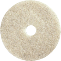 Tampons pour l'entretien des planchers, 21", Brunissage, Brun FMT Sales Ltd