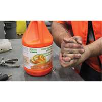 Orange Hand Cleaner, Pumice, 3.6 L, Jug, Orange FMT Sales Ltd