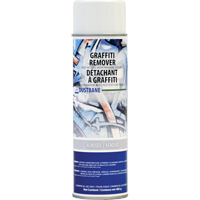Nettoyant pour graffitis Doodle Buster FMT Sales Ltd