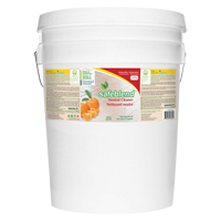 Neutral Cleaner, 20 L, Pail FMT Sales Ltd
