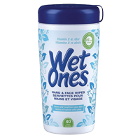 Lingettes d&eacute;sinfectantes, Contenant FMT Sales Ltd