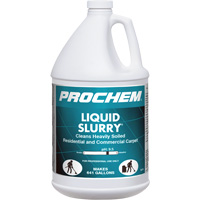 D&eacute;tergent pour tapis Prochem Liquid Slurry, 1 gal., Cruche FMT Sales Ltd