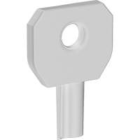 Cl&eacute; pour distributeur Lock or Not FMT Sales Ltd