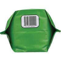 Nettoyant pour les mains biod&eacute;gradable, Poudre, 4,5 lb, Pochette, Sans parfum FMT Sales Ltd