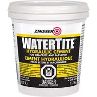 Watertite&reg; Hydraulic Cement FMT Sales Ltd