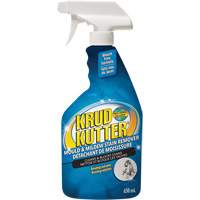 Vaporisateur contre les moisissures, 650 ml, Bouteille &agrave; g&acirc;chette FMT Sales Ltd