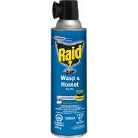 Insecticide contre les gu&ecirc;pes et les frelons Raid, 400 g, &agrave; base de solvant FMT Sales Ltd