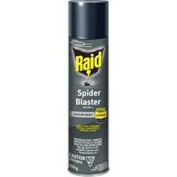 Insecticide exterminateur daraign&eacute;es Raid, 350 g, Canette a&eacute;rosol, &agrave; base de solvant FMT Sales Ltd