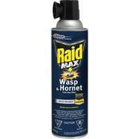 Mousse insecticide contre les gu&ecirc;pes et les frelons Raid Max, 500 g, Canette a&eacute;rosol, &agrave; base de solvant FMT Sales Ltd