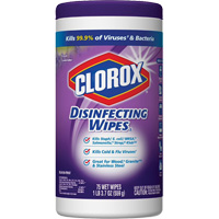 Lingettes d&eacute;sinfectantes, 75 lingettes FMT Sales Ltd