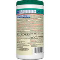 Lingettes d&eacute;sinfectantes, 75 lingettes FMT Sales Ltd