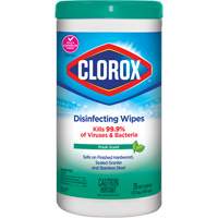 Lingettes d&eacute;sinfectantes, 75 lingettes FMT Sales Ltd
