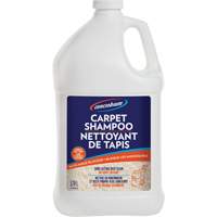 Shampooing pour tapis Concrobium, 3,78 L, Cruche FMT Sales Ltd