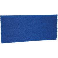 Medium Scrub Pad, 10" L x 4-1/2" W FMT Sales Ltd