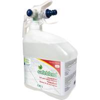 Concentrated Descaler, Cleaner & Dust Remover, Jug, 4 L FMT Sales Ltd