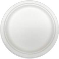 Plaques jetables en fibre moul&eacute;e FMT Sales Ltd