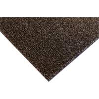 Tapis dint&eacute;rieur Palliser, Essuie-pieds/grattoir, 3-1/2' x 6' x 5/16", Anglis FMT Sales Ltd