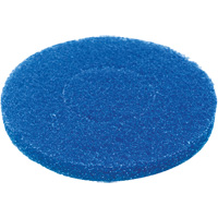 Floor Pad, Cleaning, Blue FMT Sales Ltd