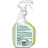 Nettoyant d&eacute;sinfectant CloroxPro Clorox EcoClean, 946 ml, Bouteille &agrave; g&acirc;chette FMT Sales Ltd