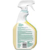 CloroxPro Clorox EcoClean All-Purpose Cleaner, 946 ml, Trigger Bottle FMT Sales Ltd